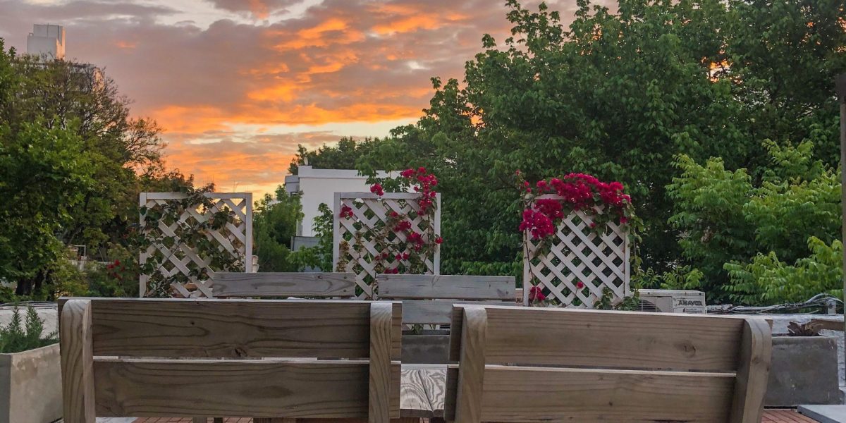 3d19a4ed-32e0-4a41-9981-a57c4f4c36ae