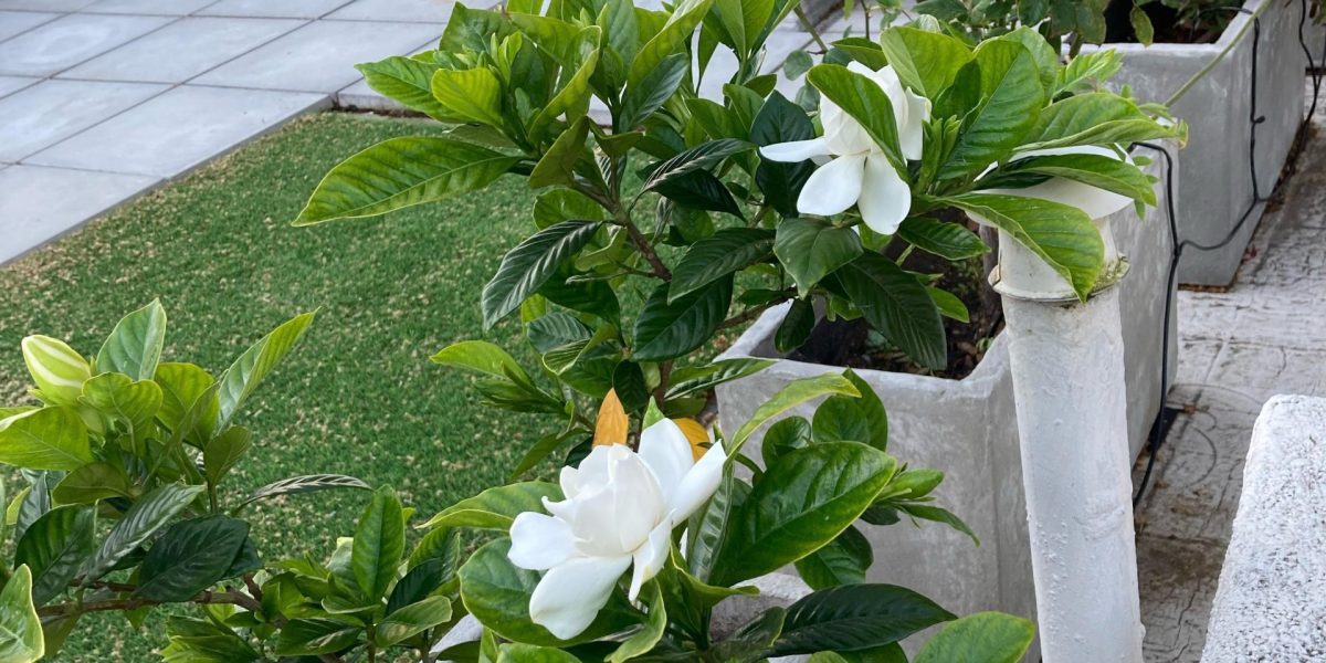 7e11f79a-03ba-4cf2-bb84-3255b93480c8